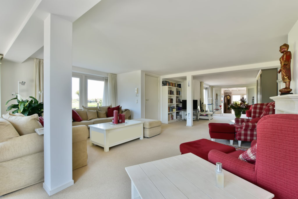 Cozy living room